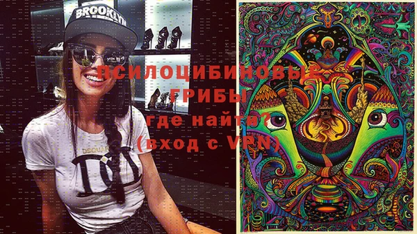 стафф Абдулино