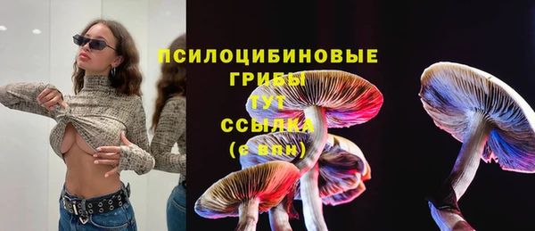 стафф Абдулино