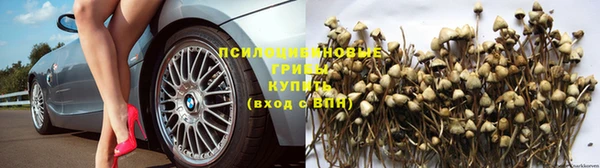 стафф Абдулино
