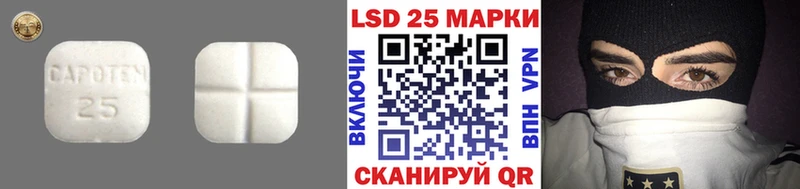 МЕГА как зайти  Терек  Лсд 25 экстази ecstasy 